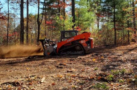 Everything You Need to Know About Forestry Mulching