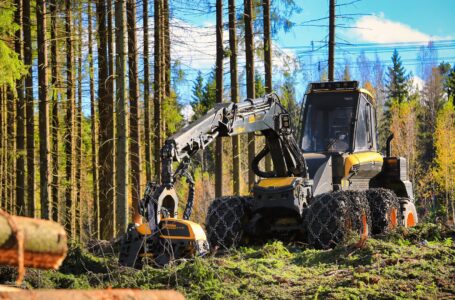 What to Look for When Shopping for Logging Equipment