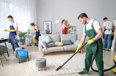 Why You Should Have A Carpet Cleaner Come In Every 6 Months