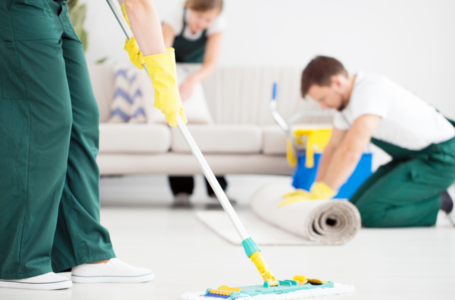 Professional Carpet Cleaning Services: 5 Things You Should Know