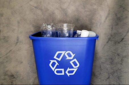 How To Recycle Plastic Bottles Step By Step