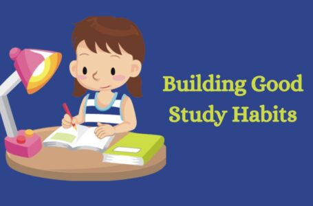 15 Study Tips For College: Building Good Study Habits To Succeed